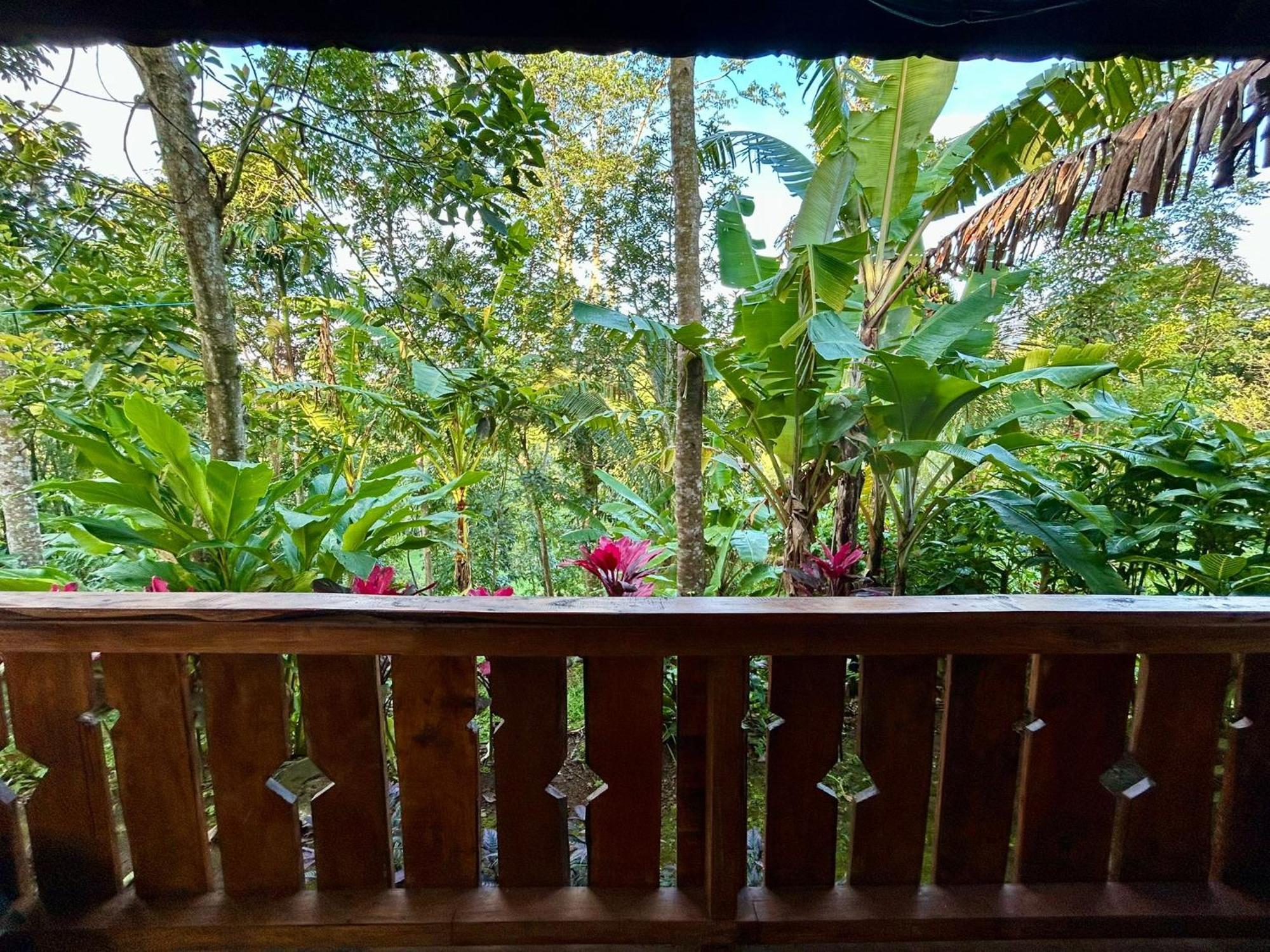 My Home Tetebatu Luaran gambar